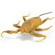 Διαδραστικό παιχνίδι Hexbug HEX BOTS Nano Real Bugs 5 πακέτο 13921770 681147042476