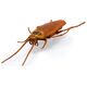 Διαδραστικό παιχνίδι Hexbug HEX BOTS Nano Real Bugs 5 πακέτο 13921770 681147042476