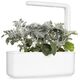 Click And Grow Click & Grow Smart Refill Dusty Miller 3 τεμ 13927281 4742793002774