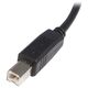 Kabel USB StarTech USB-A - USB-B 3 m Czarny (USB2HAB3M)