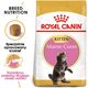 Royal Canin Maine Coon Kitten karma sucha dla kociąt, do 15 miesiąca, rasy maine coon 0.4kg