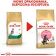 Royal Canin Maine Coon Kitten karma sucha dla kociąt, do 15 miesiąca, rasy maine coon 0.4kg