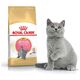 Royal Canin British Shorthair Kitten karma sucha dla kociąt, do 12 miesiąca, rasy brytyjski krótkowłosy 0.4kg