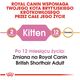 Royal Canin British Shorthair Kitten karma sucha dla kociąt, do 12 miesiąca, rasy brytyjski krótkowłosy 0.4kg
