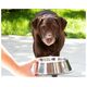 Friskies Dog Junior Kurczak i marchewka w sosie saszetka 85g