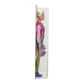 „Barbie Back to School“ lėlės rinkinys
