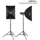 Walimex Walimex pro Campaigner 600 HS Σετ Διπλό φωτιστικό στούντιο 13935624 4056929233841
