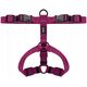 Chaba CHABA GUARD "L" HARNESS BLUE 35-60 / 50-75 / 2,5cm 14223468 5905133657259
