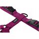 Chaba CHABA GUARD "L" HARNESS BLUE 35-60 / 50-75 / 2,5cm 14223468 5905133657259