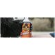 Gorilla Sports Gorilla glue 1l