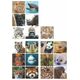 Tashka Ambassador Memo Animal Selfies 14034646 4897049303461