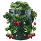 CreativeHome TORBA DO SADZENIA I UPRAWY TRUSKAWEK 17cm