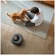 Anker Eufy Robot Vacuum Cleaner Omni C20 | Anker Eufy