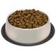 Arquivet Fresh Senior 10 kg