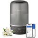 PHILIPS Humidifier Series 1000 Up to 41 m2 3 settings grey