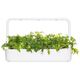 Click And Grow Click & Grow Smart Refill Mizuna 3τμχ 13927279 4742793003658