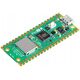 RASPBERRY PI PICO 2W