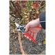 Sekator Felco 11 Classic nożycowy