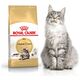 Royal Canin Maine Coon Adult karma sucha dla kotów dorosłych rasy maine coon 2 kg