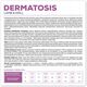 VetExpert Veterinary Diet Dermatosis dog Lamb&Krill 12kg