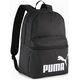 Pleack Puma Phase 091164-01