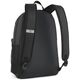 Pleack Puma Phase 091164-01