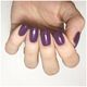 OPI Opi, Nail Lacquer, Nail Polish, NL H55, Dutch 'Ya Just Love OPI?, 15 ml For Women