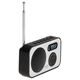 Radio cyfrowe - PLL AM/FM