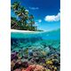 CLE puzzle 1000 Compact Summer Paradise 39931