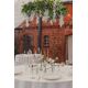 Triton Girlanda liście wierzby Party Deco  2 m