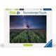 Ravensburger Puzzle 1500 Pola i gwiazdy