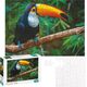 Dodo Puzzle "Tukan" 500 Elementów Układanka Kolorowa Zestaw Dla Dzieci Dorosłych