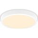 Lampa sufitowa Philips MAGNEOS SF DL252 RD 284 20W 27K WH 06
