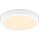 Lampa sufitowa Philips MAGNEOS SF DL252 RD 284 20W 27K WH 06