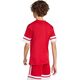 Koszulka dla dzieci adidas Squadra 25 czerwona JJ0051 140cm
