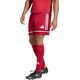 Spodenki adidas SQUADRA 25 Short JN5466
