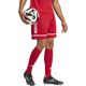 Spodenki adidas SQUADRA 25 Short JN5466