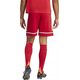 Spodenki adidas SQUADRA 25 Short JN5466