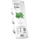 Click And Grow Click & Grow Smart Garden refill Catnip 3pcs