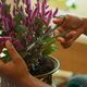 Plant care set (precision trimmer + case)