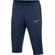 Spodnie Nike Academy 25 3/4 Pants FZ9787-410