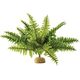 Exo Terra Roślina sztuczna – Paproć Boston Fern, M
