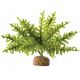 Exo Terra Roślina sztuczna – Paproć Boston Fern, M