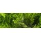 Exo Terra Roślina sztuczna – Paproć Boston Fern, M
