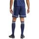 Spodenki adidas SQUADRA 25 JN5468
