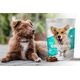 Contipro Geloren Small Dog 180g - Mieszanka uzupełniająca, żelki dla małych psów na stawy 60 szt.