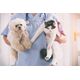 Royal Canin Veterinary Diet Canine Anallergenic Small 3kg