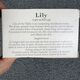 Trussardi Crabtree & Evelyn, Lily, Hydrating, Soap Bar, 85 g For Women