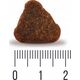 Quattro No Grain All Breed Adult Duck 12kg