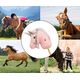 Milly Mally Hobby Koń na Kiju Light Pink EDUKAMP